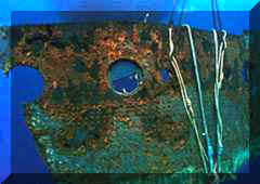 bp02.jpg (5905 bytes)