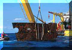 bp03.jpg (5438 bytes)